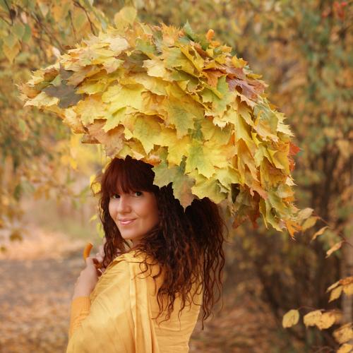 Photo #5076555
