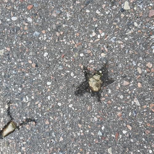 Photo #5076924