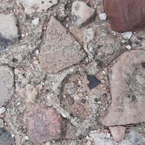 Photo #5076929