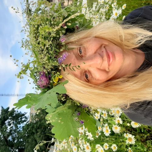 Photo #5076956
