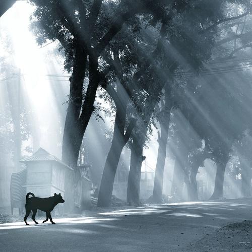 Photo #5077609