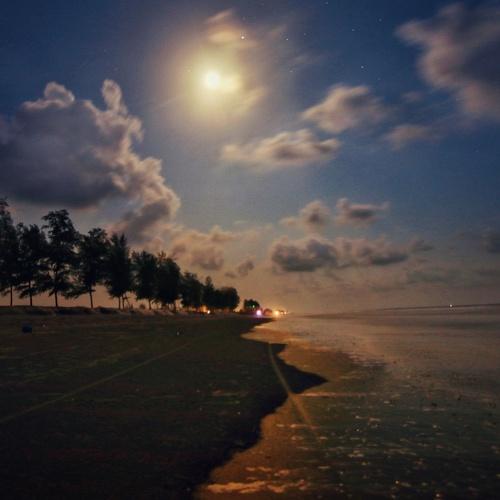 Photo #5077645