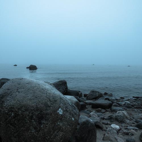 Photo #5077927