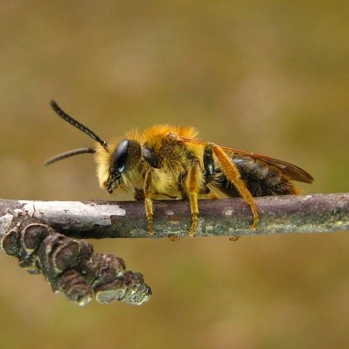 Photo #5078177
