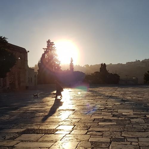 Photo #5078278