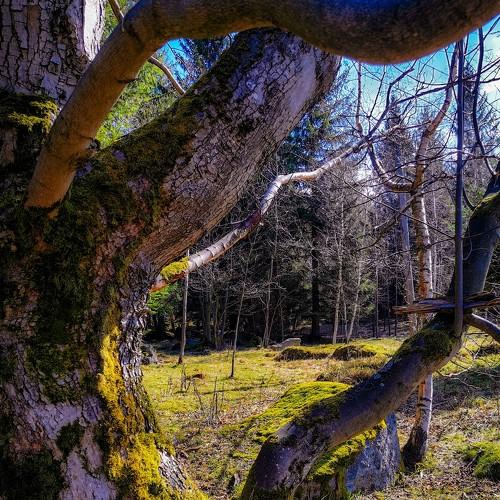Photo #5078280