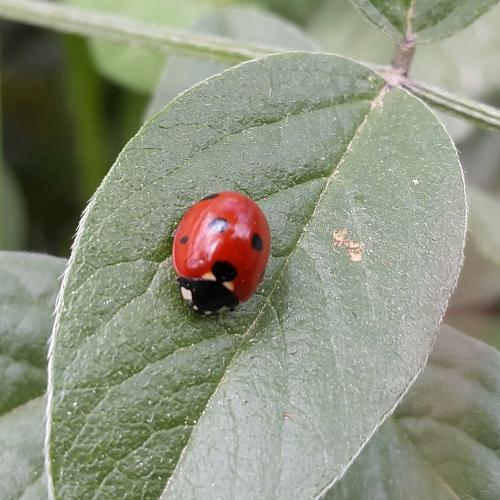 Photo #5078369