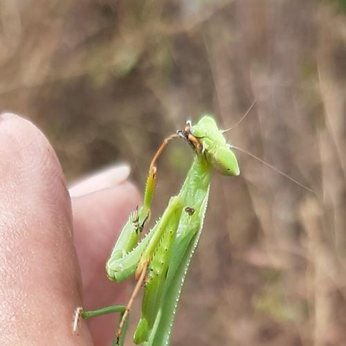Photo #5078375