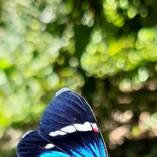 Photo #5078378