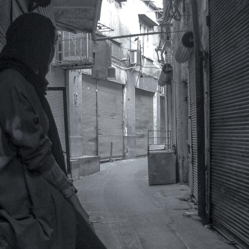 Photo #5078441