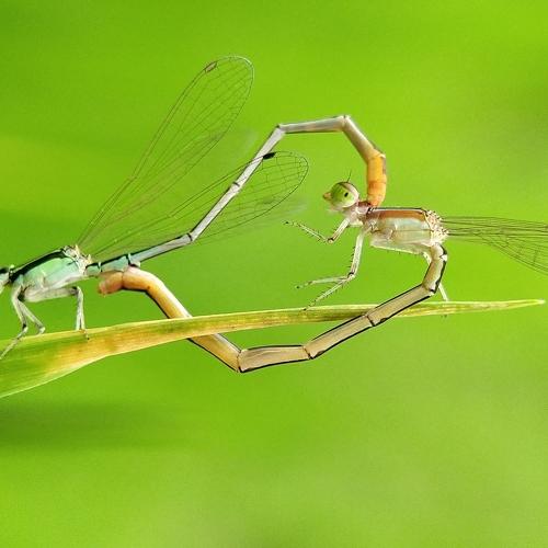 Photo #5078491