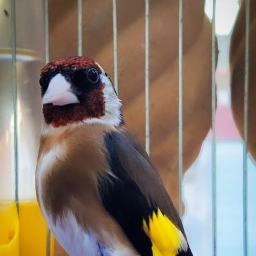 Photo #5078496