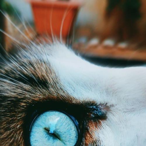 Photo #5078497