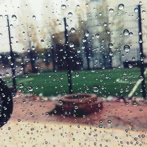 Photo #5078500