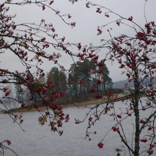 Остров Любви