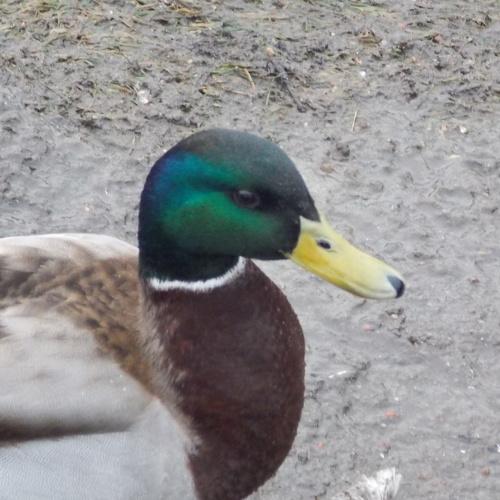 Photo #5078831