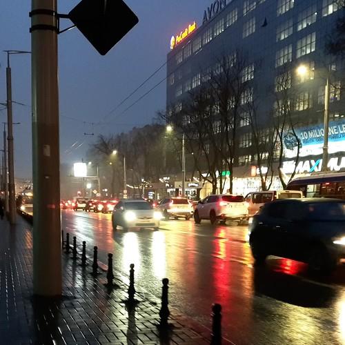 Photo #5078850