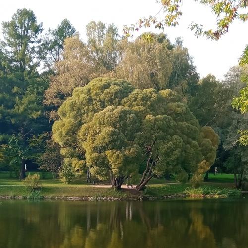 Photo #5078885