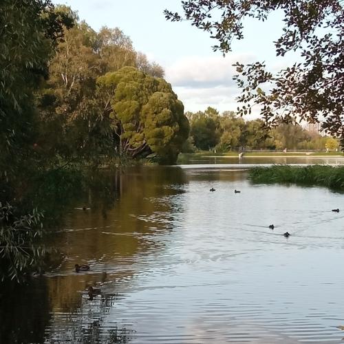 Photo #5078889