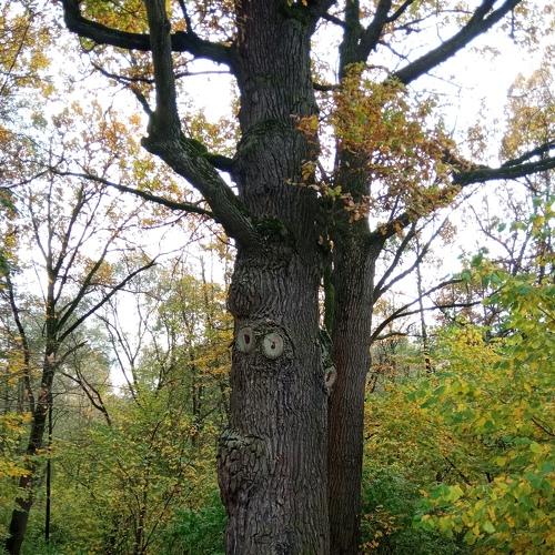 Photo #5078892