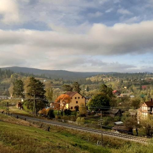 Photo #5079144