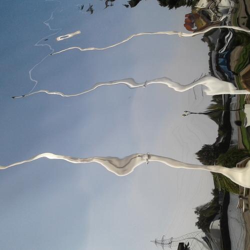 Photo #5079171