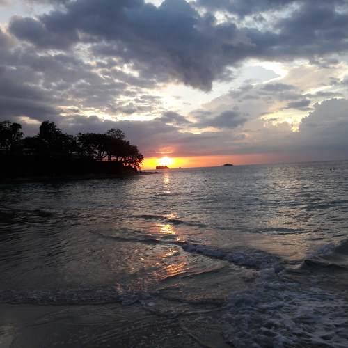 Photo #5079180
