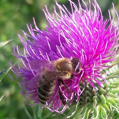 Photo #5079222