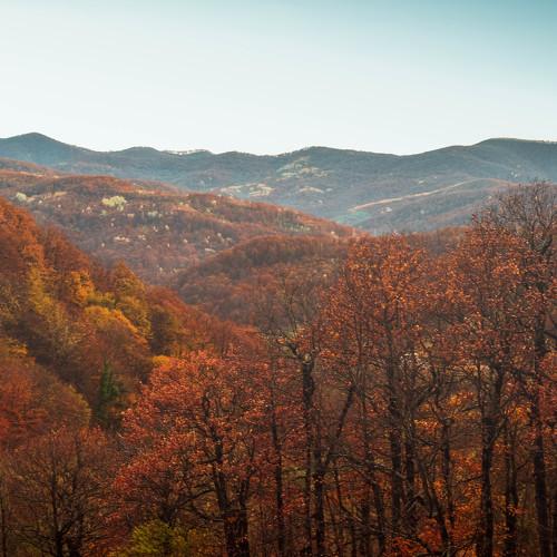 Photo #5079261