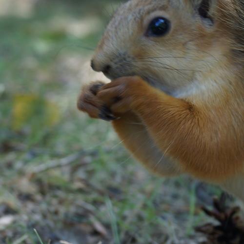 Photo #5079503