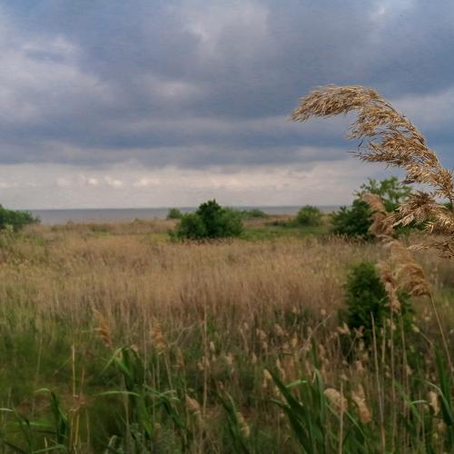 Photo #5079813