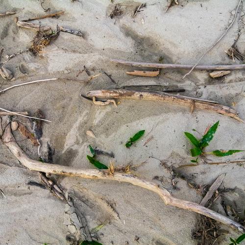 Photo #5079816
