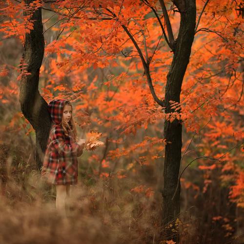 Photo #5080595