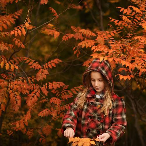 Photo #5080661