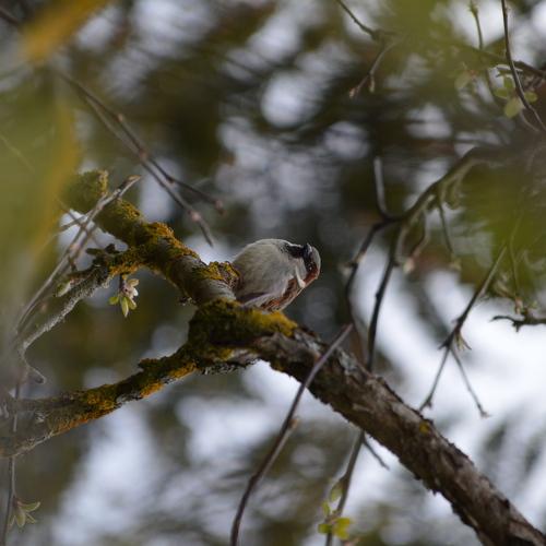 Photo #5080678