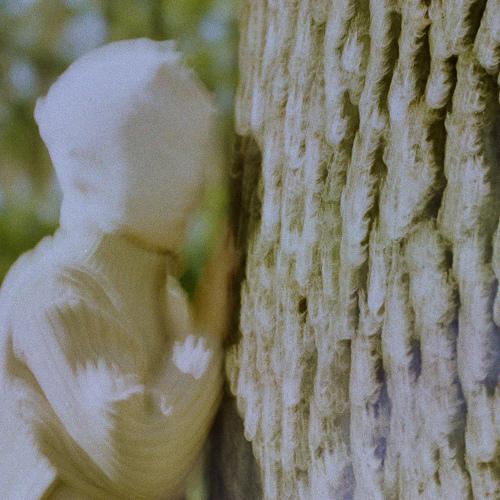 Photo #5080719