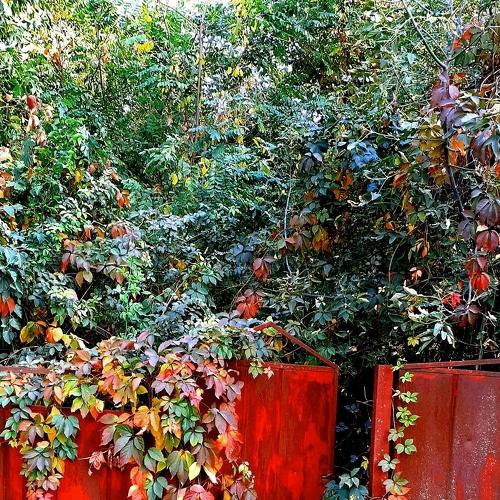Photo #5080764