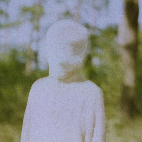 Photo #5080765