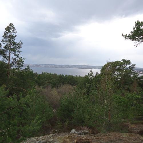 Photo #5080866