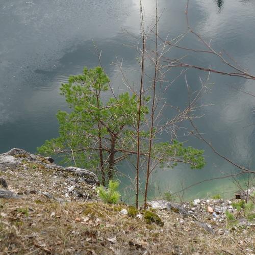 Photo #5080889