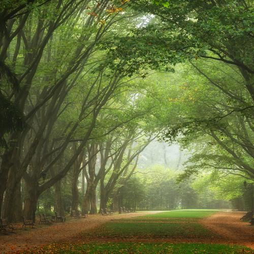 Photo #5081200