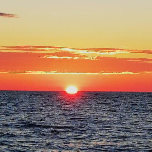 Photo #5081299