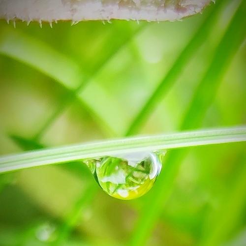 Photo #5081916