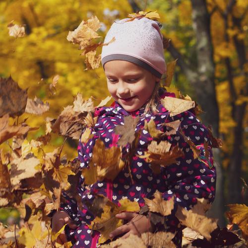 Photo #5081917