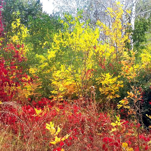 Photo #5081953