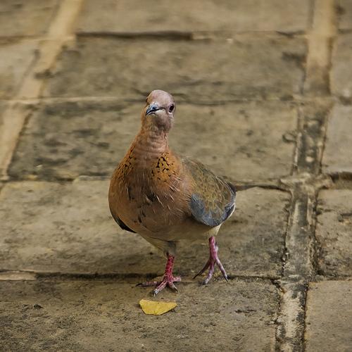 Photo #5081983