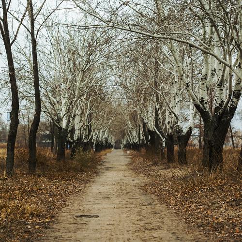 Photo #5081998