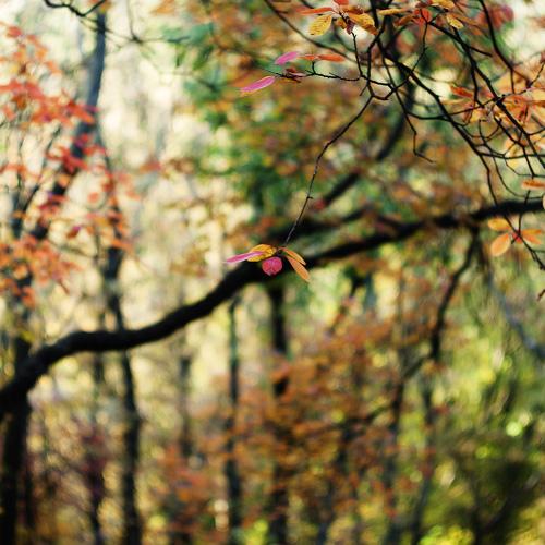 Photo #5082016
