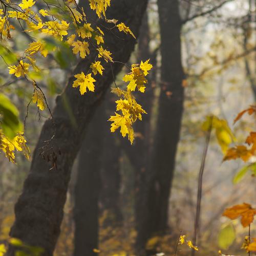 Photo #5082029
