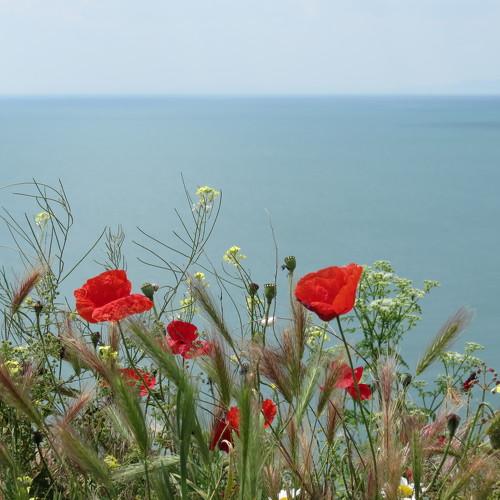 Photo #5082048